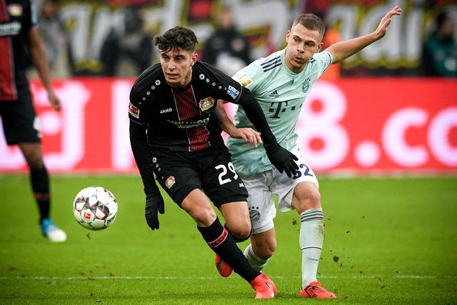 这表明他不 这表明他不